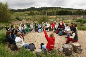 Read more about the article Pedagojik Formasyonda Açık Hava Eğitiminin Faydaları